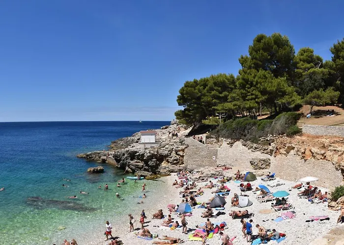 Lotus Elite Estate فيلة